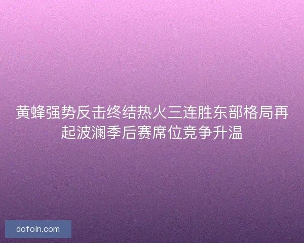 黄蜂强势反击终结热火三连胜东部格局再起波澜季后赛席位竞争升温